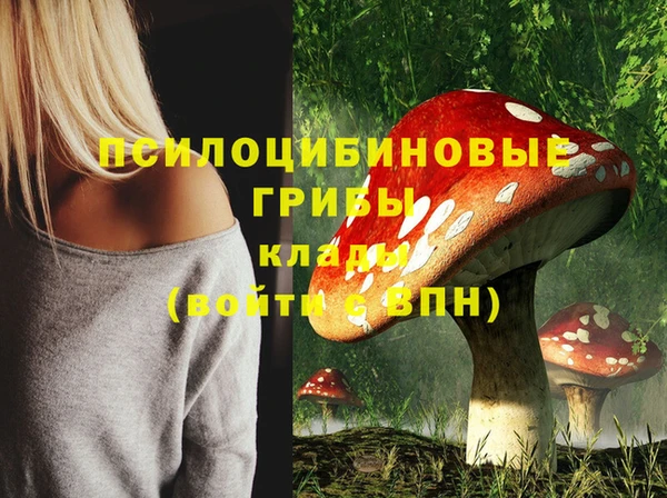 а пвп мука Иннополис