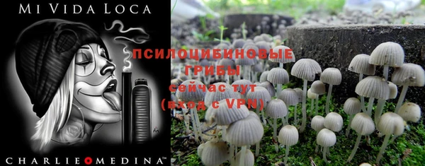 а пвп мука Иннополис